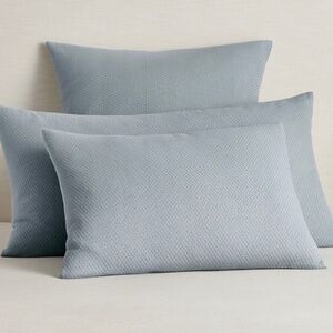 Pottery Barn Standard Shams (pair of pillow covers)